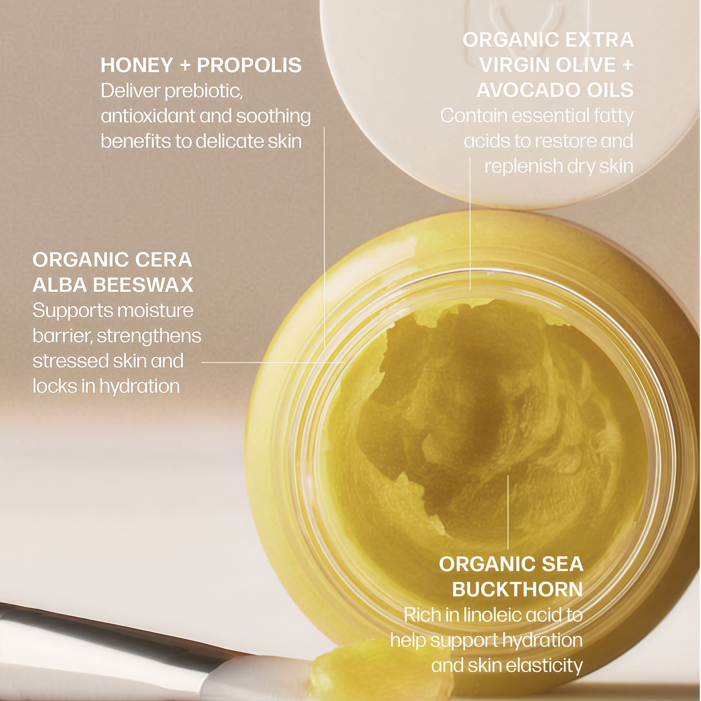 VMAGIC by Medicine Mama Organic Vulva Balm – Intimate Skin Care, Menopause Support – Relieves Feminine Dryness, Itching & Irritation – Hormone Free, Vaginal Moisturizer for Women – 2 oz